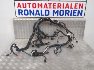 Usados Mazo de cables Ford Ecosport Precio € 195,00 Norma de margen ofrecido por Automaterialen Ronald Morien B.V.