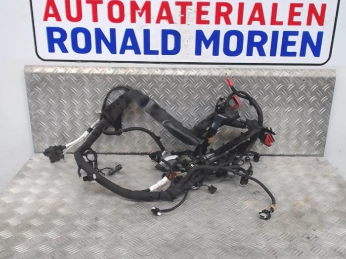 Begagnade Kablage Ford Fiesta 6 (JA8) 1.0 EcoBoost 12V 100 Pris € 150,00 Marginaltabell erbjuds av Automaterialen Ronald Morien B.V.