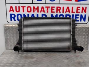 Używane Chlodnica miedzystopniowa Volkswagen Jetta Cena € 151,25 Z VAT oferowane przez Automaterialen Ronald Morien B.V.