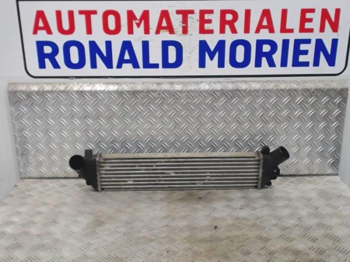 Usagé Intercooler Renault Kangoo Express (FC) 1.5 dCi 85 Prix € 60,00 Règlement à la marge proposé par Automaterialen Ronald Morien B.V.