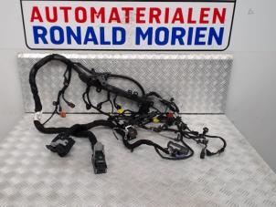 Usados Mazo de cables Opel Insignia Precio € 295,00 Norma de margen ofrecido por Automaterialen Ronald Morien B.V.
