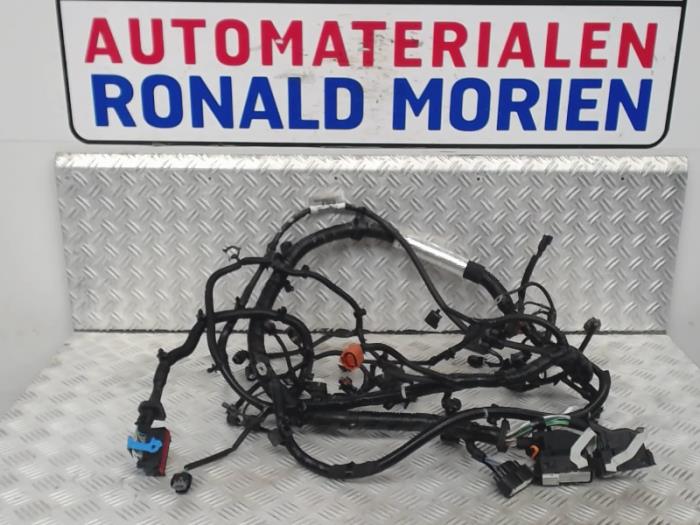 Wagovan Wiring Harnes - Wiring Diagrams