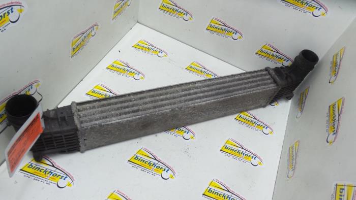 Usagé Intercooler Volkswagen Sharan (7M8/M9/M6) 1.8 Turbo 20V Prix € 52,50 Règlement à la marge proposé par Binckhorst BV