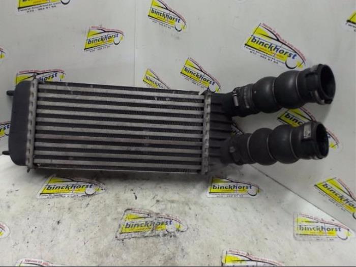 Usagé Intercooler Peugeot Expert (G9) 1.6 HDi 90 Prix € 52,50 Règlement à la marge proposé par Binckhorst BV