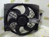 BMW 3 serie Compact (E46/5) 320td 16V Cooling fans