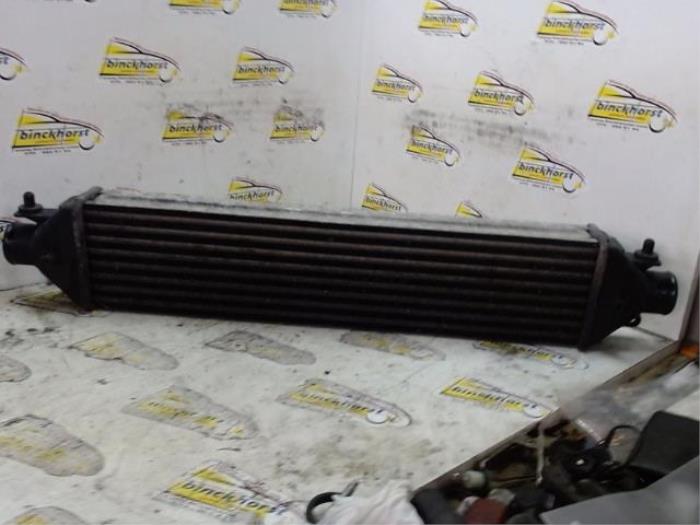Used Intercooler Fiat Grande Punto (199) 1.4 T-Jet 16V Price € 40,95 Margin scheme offered by Binckhorst BV