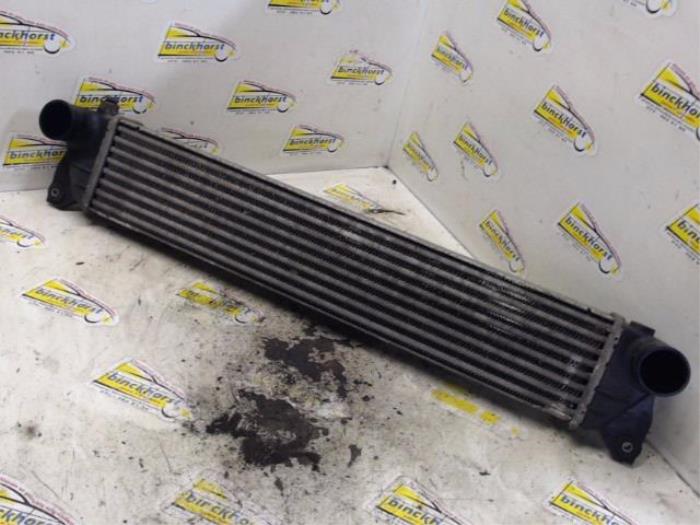 Usagé Intercooler Suzuki SX4 (EY/GY) 1.9 DDiS Grip 4x4 Prix € 52,50 Règlement à la marge proposé par Binckhorst BV