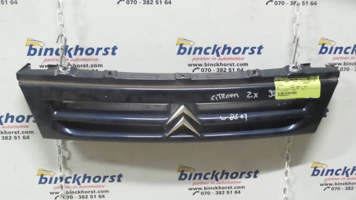 Chasseur Calandre 20cm3ℓ Citroen ZX Calandres stock | ProxyParts.fr
