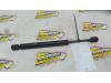 Rear gas strut, left from a BMW 3 serie (E36/2), 1991 / 1999 318iS 1.8 16V, Compartment, 2-dr, Petrol, 1.796cc, 103kW (140pk), RWD, M42B18; 184S1, 1992-11 / 1996-04, BE51; BE53; BE61; BE63 1992
