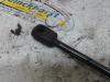 Rear gas strut, left from a Mercedes-Benz A (W176) 2.0 A-250 Turbo 16V 4-Matic 2015