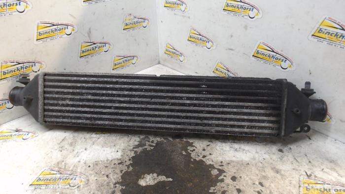 Used Intercooler Fiat Doblo Cargo (263) 1.6 D Multijet Price € 26,25 Margin scheme offered by Binckhorst BV