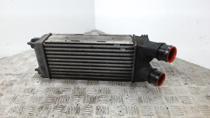 Usagé Intercooler Peugeot Partner (GC/GF/GG/GJ/GK) 1.6 HDI 90 16V Prix € 26,25 Règlement à la marge proposé par Binckhorst BV