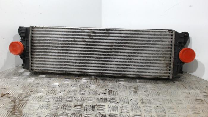 Usados Intercooler Volkswagen Crafter 2.5 TDI 30/35/50 Precio € 42,00 Norma de margen ofrecido por Binckhorst BV