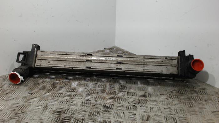 Usagé Intercooler Renault Megane III Berline (BZ) 1.4 16V TCe 130 Prix € 31,50 Règlement à la marge proposé par Binckhorst BV
