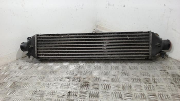 Usados Intercooler Opel Combo 1.3 CDTI 16V ecoFlex Precio € 36,75 Norma de margen ofrecido por Binckhorst BV