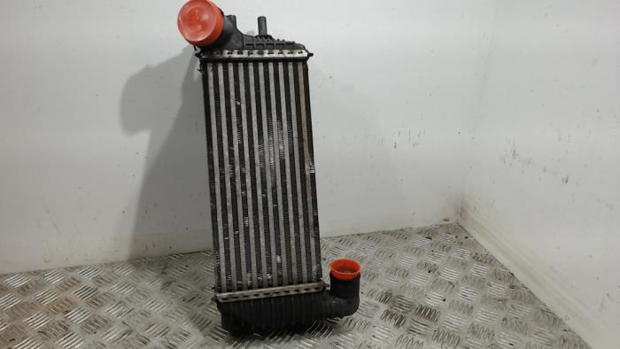 Usagé Intercooler Ford Transit Connect (PJ2) 1.6 TDCi 16V 95 Prix € 31,50 Règlement à la marge proposé par Binckhorst BV
