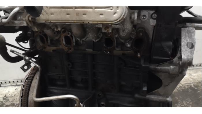 Engine from a Skoda Octavia Combi (1Z5) 1.9 TDI 4x4 2008