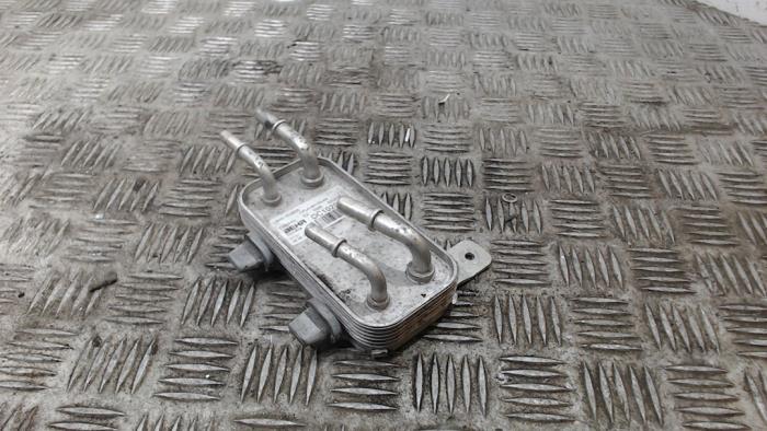 Fuel cooler