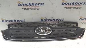 New Grille Hyundai Atos Price € 31,76 Inclusive VAT offered by Binckhorst BV