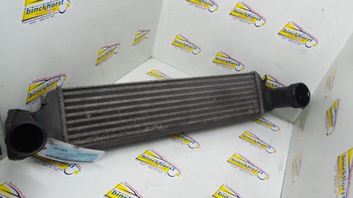 Intercooler from a BMW 3 serie Touring (E46/3) 320d 16V 2002
