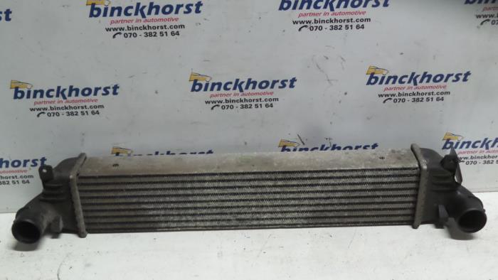 Usados Intercooler Lancia Thesis (841) 2.4 JTD 20V Precio € 52,50 Norma de margen ofrecido por Binckhorst BV