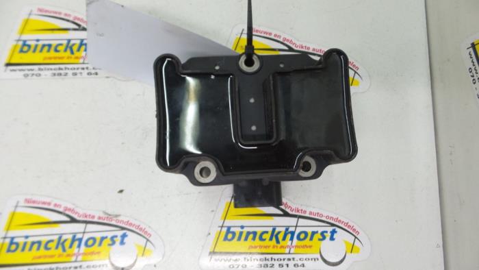 Usagé Bobine Volkswagen Golf IV (1J1) 1.4 16V Prix € 15,75 Règlement à la marge proposé par Binckhorst BV