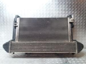 Used Radiator Mercedes A (W169) 2.0 A-160 CDI 16V 5-Drs. Price on request offered by kaslo auto parts