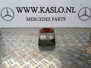 Used Xenon Starter Mercedes S (W220) 3.2 S-320 CDI 24V Price on request offered by kaslo auto parts