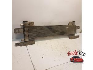 Used Oil cooler Ford Usa Mustang V Convertible 4.0 V6 Price on request offered by Rooie Ben autodemontage