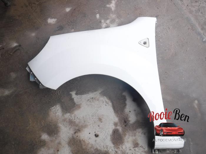 Front wing, left from a Renault Kangoo Express (FW) 1.5 dCi 90 FAP 2010