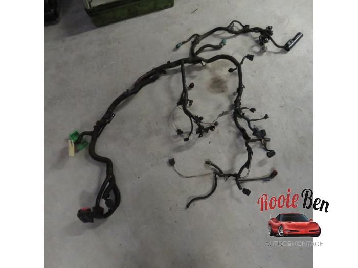 Wiring harness engine room from a Ford (USA) Mustang V Convertible 4.0 V6 2006