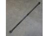 Panhard rod from a Ford Usa Mustang V, 2004 / 2015 4.0 V6, Compartment, 2-dr, Petrol, 4.009cc, 157kW (213pk), RWD, 2004-12 / 2010-12 2008