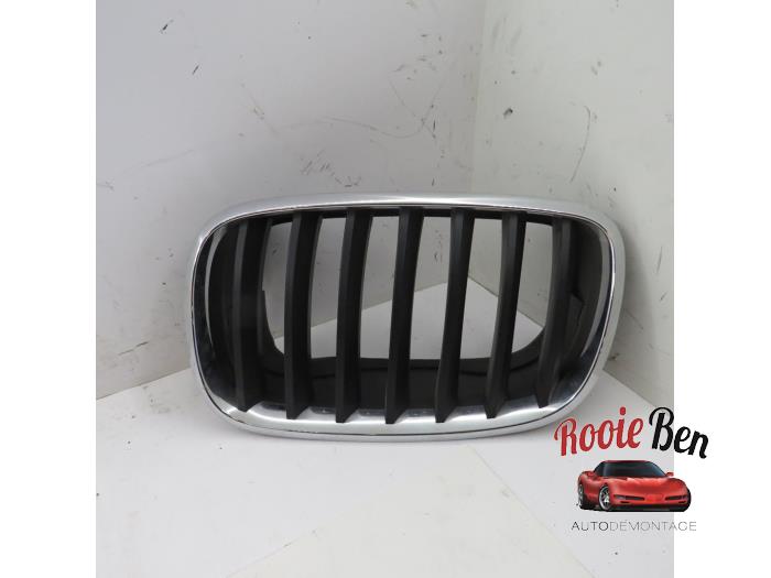 Używane Grill BMW X5 (E70) 30d xDrive 3.0 24V Cena € 25,00 Procedura marży oferowane przez Rooie Ben autodemontage