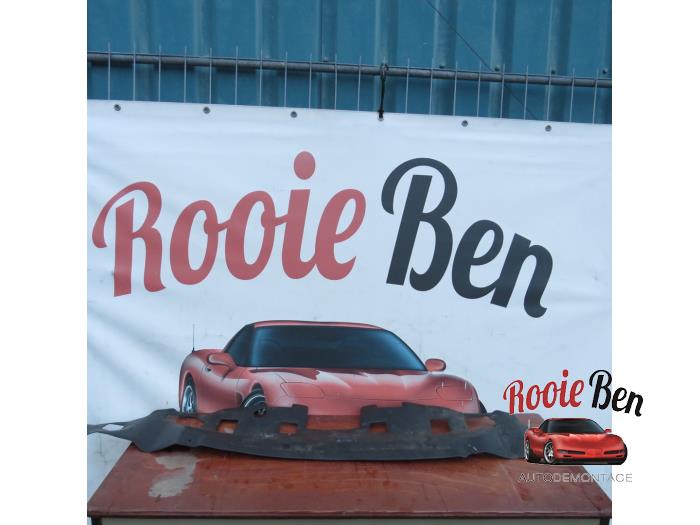Usados Panel frontal Dodge 1500 Crew Cab (DS) 5.7 Hemi V8 4x4 Precio € 40,00 Norma de margen ofrecido por Rooie Ben autodemontage