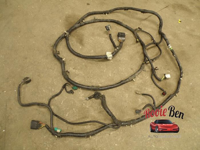 Begagnade Kablage Ford Usa F-150 Standard Cab 5.0 Extended Cab Pris € 50,00 Marginaltabell erbjuds av Rooie Ben autodemontage