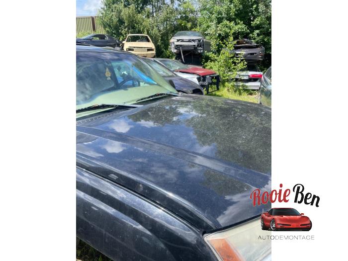 Używane Maska Chevrolet Avalanche 5.3 1500 V8 4WD Cena € 150,00 Procedura marży oferowane przez Rooie Ben autodemontage
