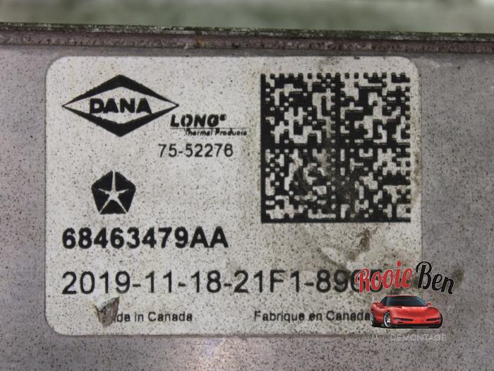 Chlodnica oleju z RAM 1500 Crew Cab (DS/DJ/D2) 5.7 Hemi V8 4x4 2020