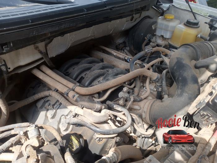 Used Engine Ford Usa F-150 Standard Cab 5.0 Crew Cab Price € 5.500,00 Margin scheme offered by Rooie Ben autodemontage