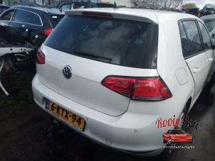 Used Tailgate Volkswagen Golf VII (AUA) 1.6 TDI BlueMotion 16V Price on request offered by Rooie Ben autodemontage
