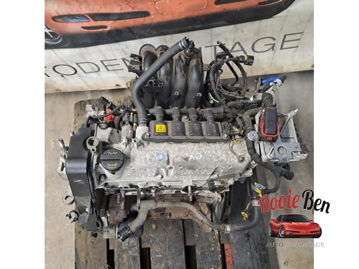 Usagé Moteur Ford Ka II 1.2 Prix € 300,00 Règlement à la marge proposé par Rooie Ben autodemontage