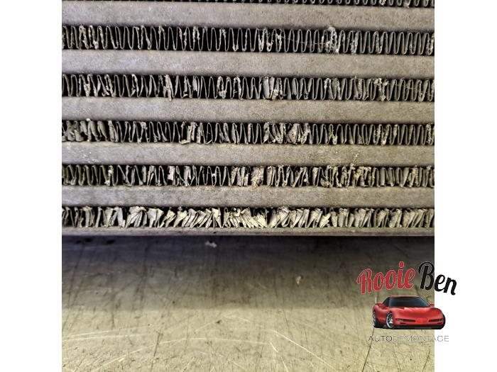 Intercooler d'un Mercedes-Benz Sprinter 3t (906.61) 209 CDI 16V 2008