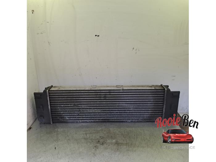Intercooler d'un Mercedes-Benz Sprinter 3t (906.61) 209 CDI 16V 2008