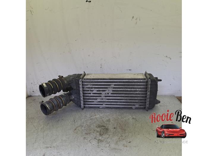 Usados Intercooler Citroen DS3 (SA) 1.6 e-HDi Precio € 25,00 Norma de margen ofrecido por Rooie Ben autodemontage