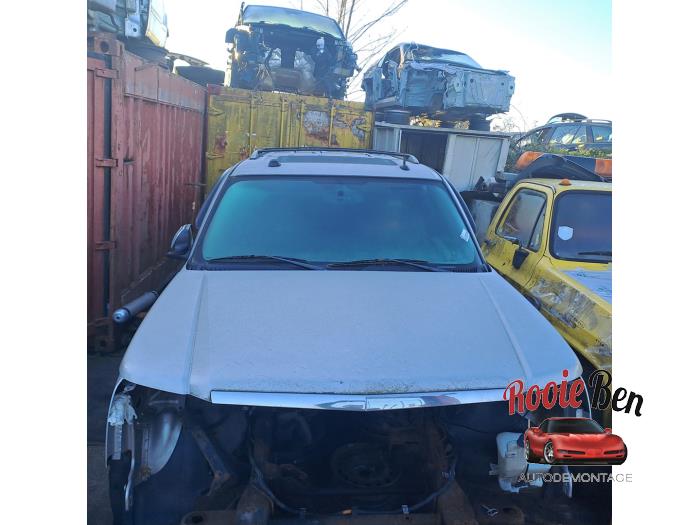 Używane Maska Cadillac Escalade 6.0 V8 4x4 Cena € 250,00 Procedura marży oferowane przez Rooie Ben autodemontage