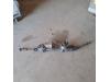 Opel Astra J Sports Tourer (PD8/PE8/PF8) 1.7 CDTi 16V Boîtier de direction assistée