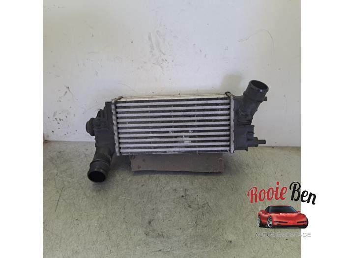 Usados Intercooler Ford Fiesta 7 1.0 EcoBoost 12V Precio € 40,00 Norma de margen ofrecido por Rooie Ben autodemontage