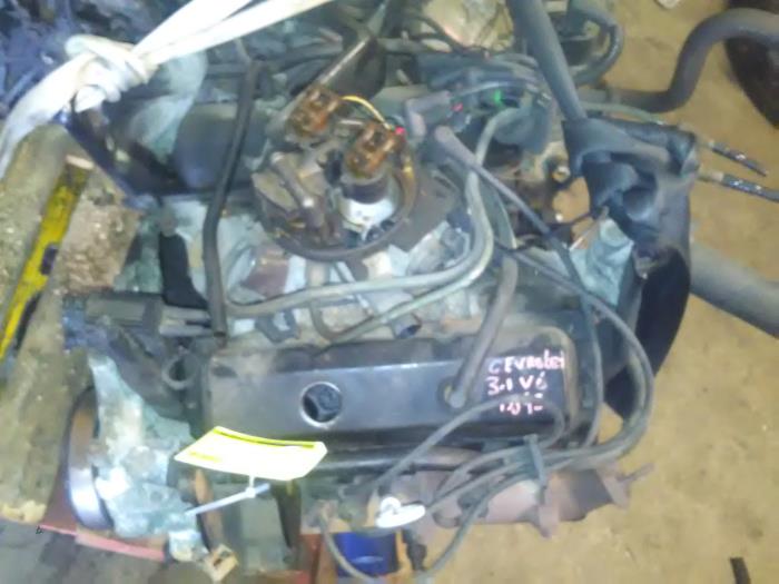 Used Engine Chevrolet Lumina 3.1 Price € 600,00 Margin scheme offered by Rooie Ben autodemontage