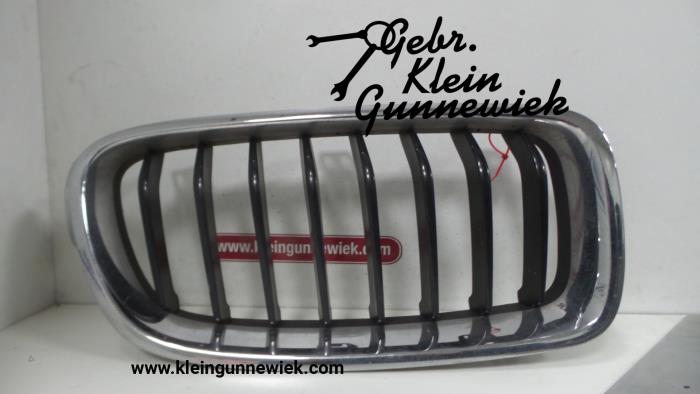 Grille from a BMW 3-Serie 2015