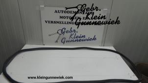 Używane Uszczelka drzwi prawych przednich wersja 4-drzwiowa Audi Q5 Cena € 30,00 Procedura marży oferowane przez Gebr.Klein Gunnewiek Ho.BV