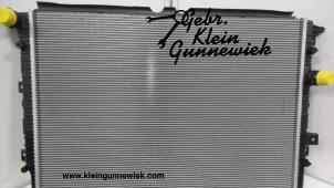Używane Chlodnica Volkswagen Tiguan Cena € 50,00 Procedura marży oferowane przez Gebr.Klein Gunnewiek Ho.BV